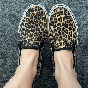 Cheetah vans asher 7